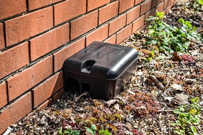 Rat bait station set up along a home's exterior wall