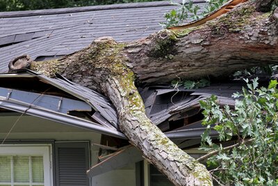 A roof and gutter damaged by a fallen tree