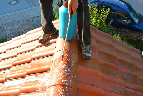 A person using a pump sprayer to kill and remove moss from a tile roof