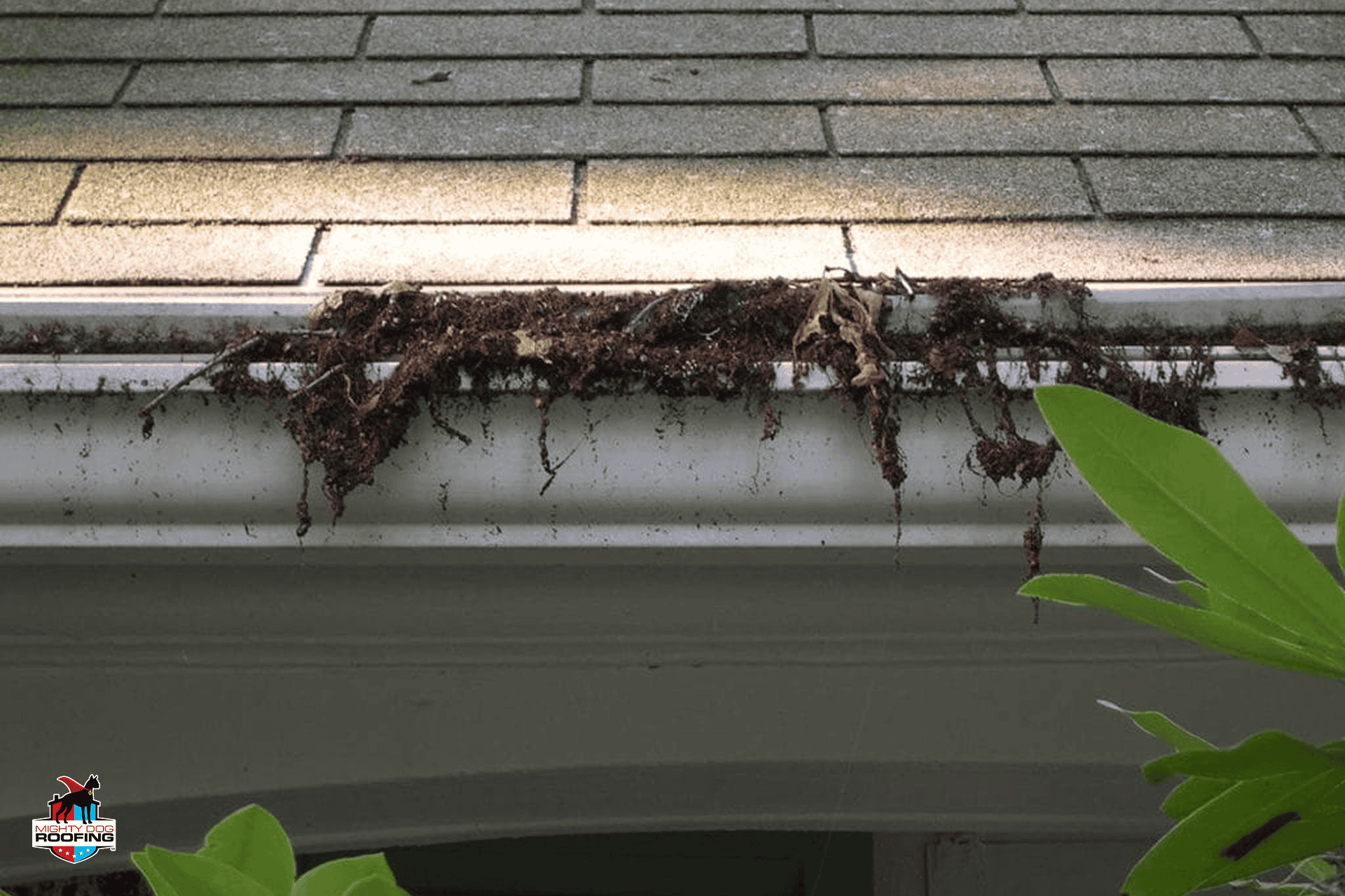 clogged gutters