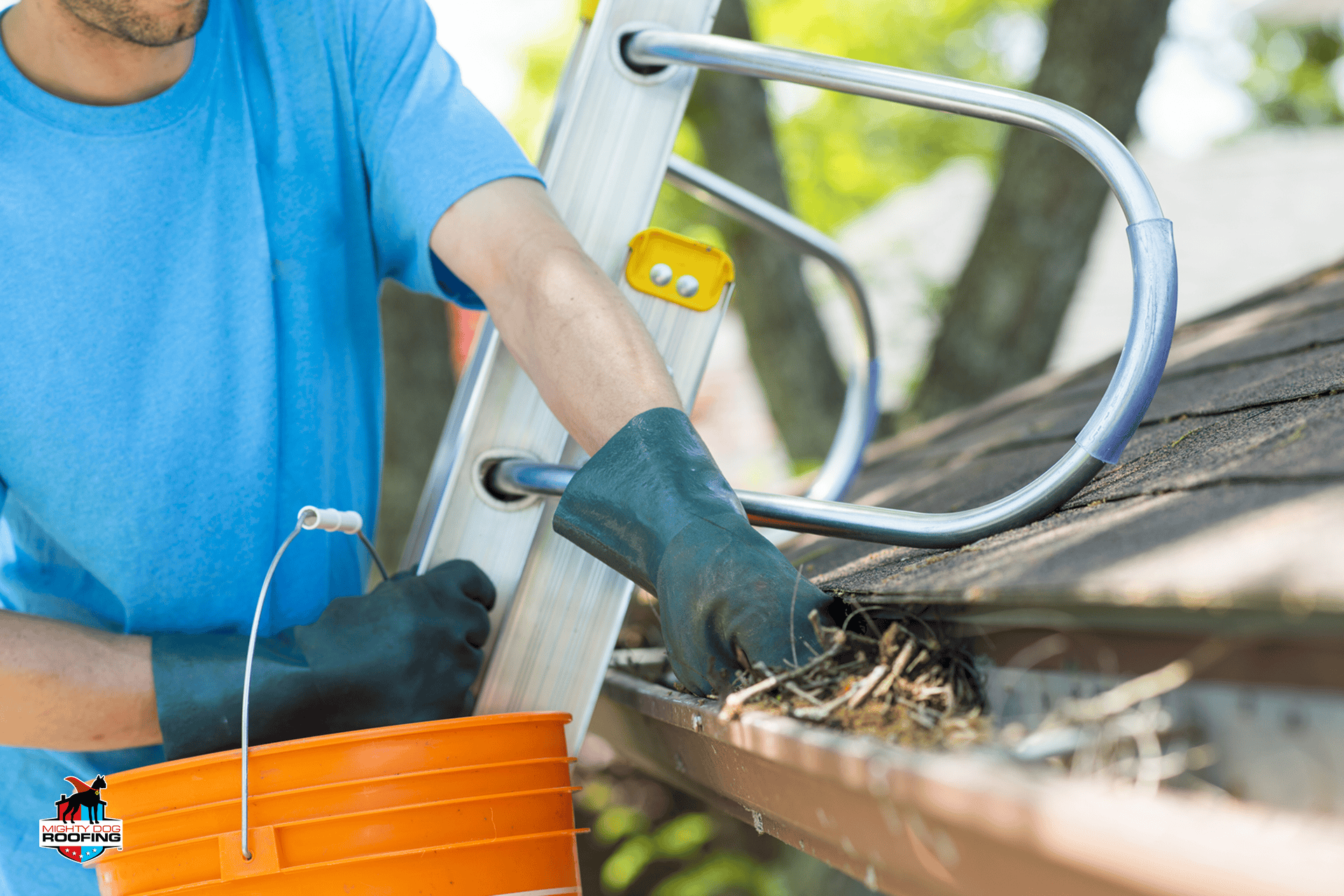 gutter cleaning