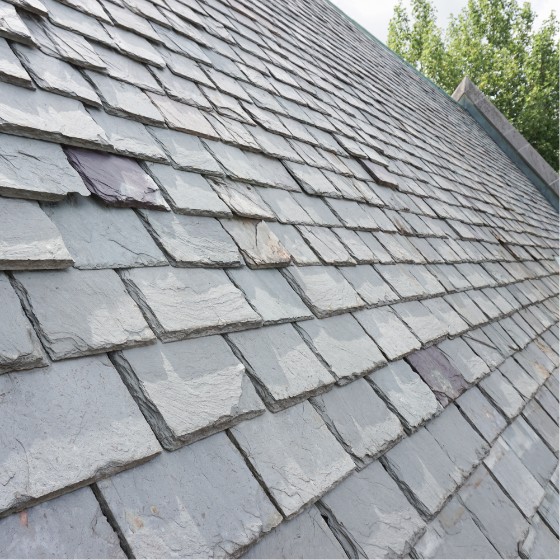 house with slate roof