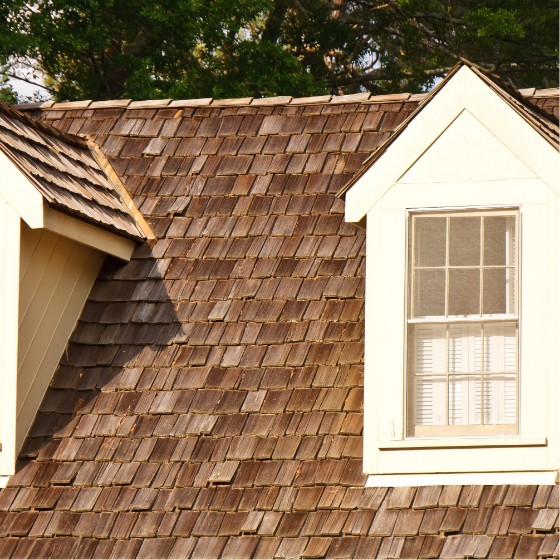 house in Pitman with wood shake roof